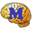 Click to install Memorious